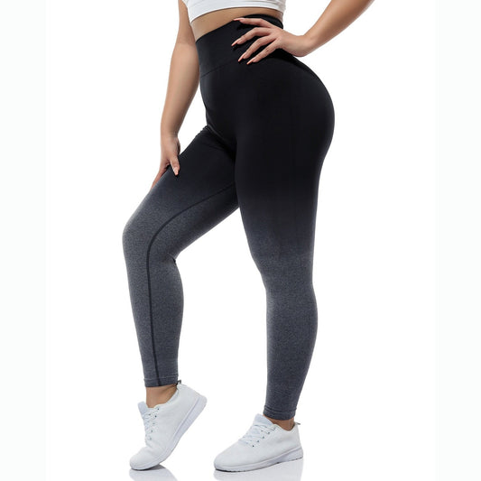 Seamless Gradient Leggings - Luxifits